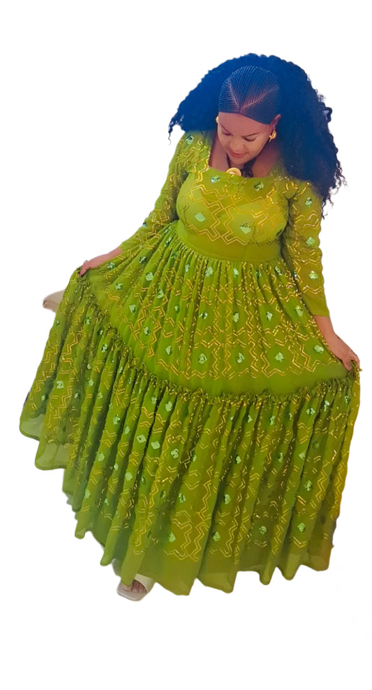 Green Embroidered Traditional Dress